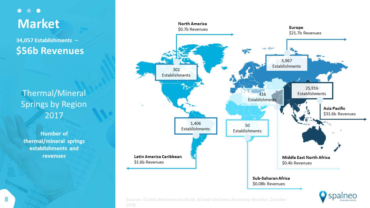 Spalneo Powerpoint presentation Slide (Market Size)